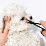 Hundesaks til øjenbryn med præcis trimning og fin kam til pleje af hundens øjenområde - Billede 2